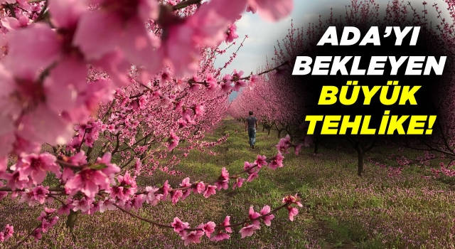 Binlerce Dönüm Tarım Arazisi Betonlaşma Tehdidi Altında!