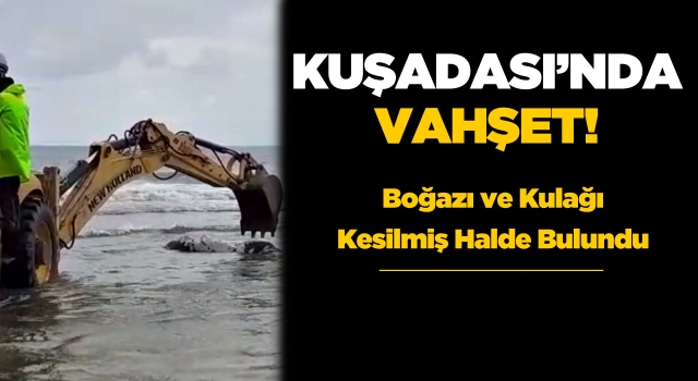 Kuşadası'nda Denizde Vahşet!