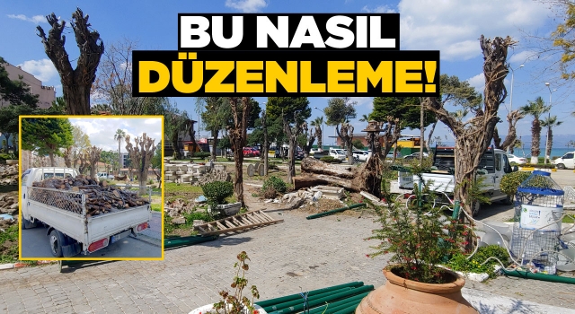 Yeşil Düşmanlığında Sınır Kalmadı!