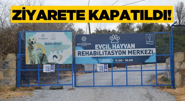 Kuşadası Hayvan Rehabilitasyon Merkezi Ziyarete Kapatıldı!