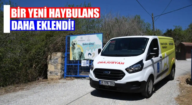 Kuşadası'nda Haybulans Aracı 2'ye Yükseldi