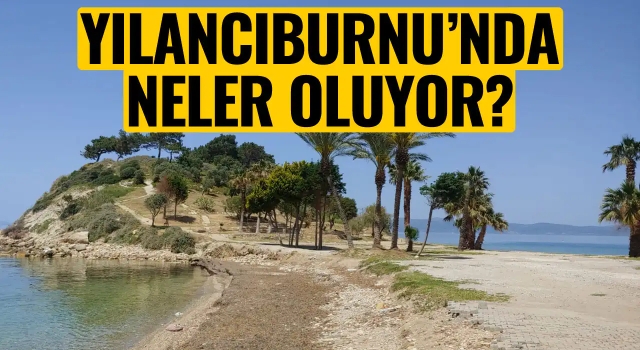 Kendi meclise girdi, Dozerler Yılancı Burnu'na!