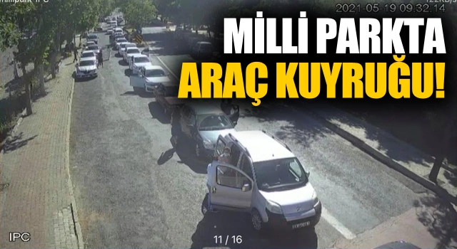 Milli Park Ziyaretçilere Açıldı, Akın Ettiler!