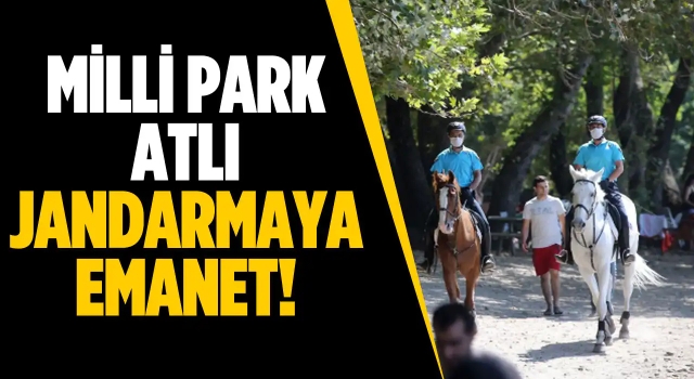 Milli Parkta Koylar Atlı Jandarmaya Emanet!