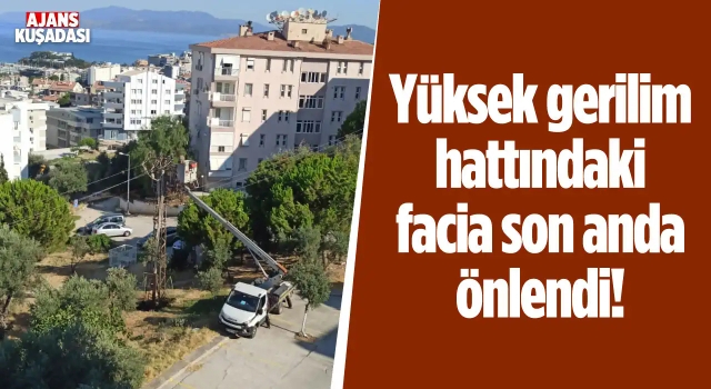 Kuşadası'nda Çıkan Yangın Söndürüldü!