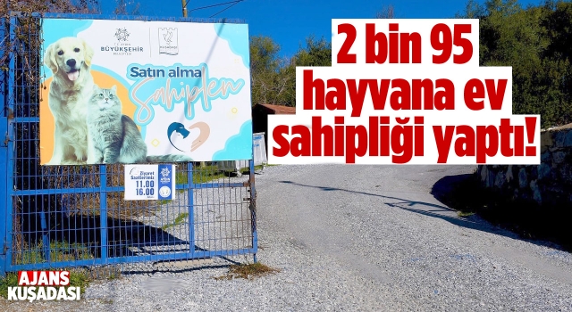 Kuşadası Belediyesi, 9 Ayda 2 bin 95 Can Dosta Ev Sahipliği Yaptı