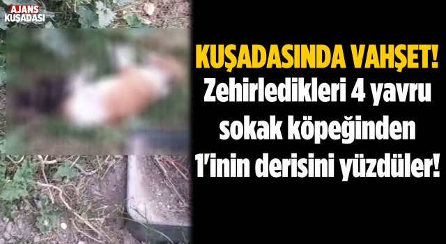 Kuşadası'nda İnsanlık Dışı Vahşet!