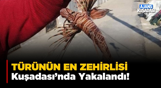 Kuşadası Açıklarında Yakalandı!