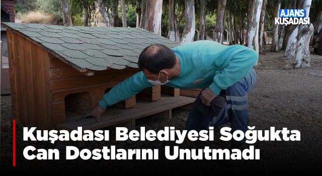 Kuşadası Belediyesi Soğuk Havada Can Dostları Unutmadı