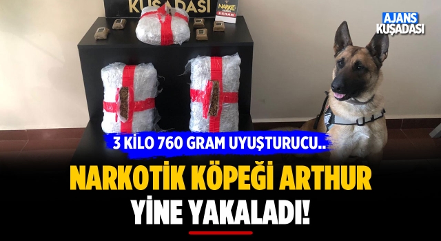 Kuşadası'nda Narkotik Köpeği Arthur Yine Yakaladı!