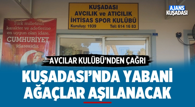 Kuşadası’nda Yabani Ağaçlar Aşılanacak