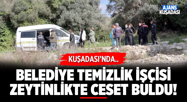 Kuşadası'nda Zeytin Ağacı Altında Ceset Bulundu!