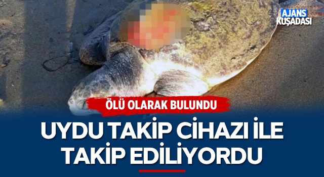 Uydu Takip Cihazı İle Takip Ediliyordu Ölü Bulundu!