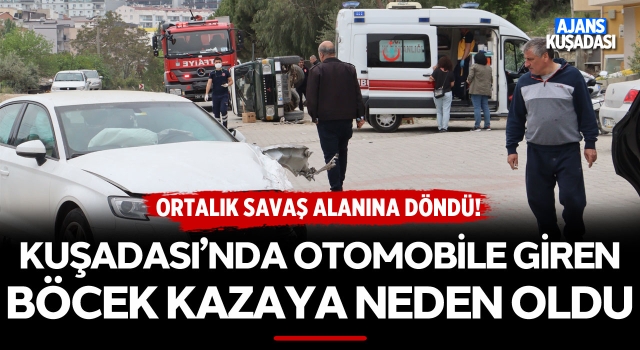 Kuşadası'nda Otomobile Giren Böcek Kazaya Neden Oldu!