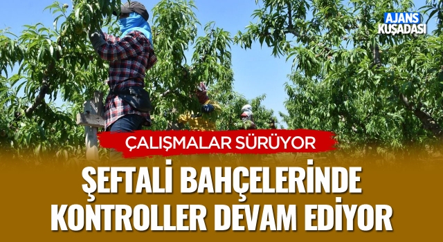 Şeftali Bahçelerinde Kontroller Devam Ediyor