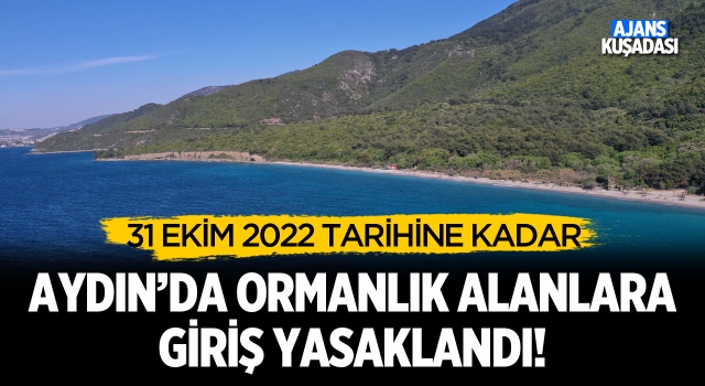 Aydın'da Ormanlık Alanlara Girişler Yasaklandı!