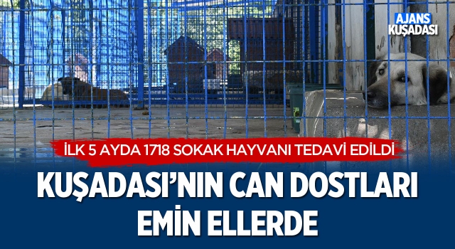 Kuşadası'nın Can Dostları Emin Ellerde