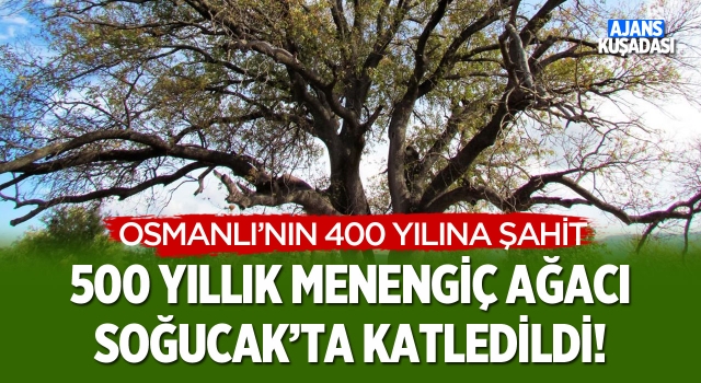 Osmanlı'nın 400 Yılına Şahit Olan 500 Yıllık Menengiç Ağacı Soğucak'ta Katledildi