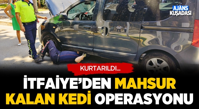 İtfaiyeden Mahsur Kalan Kedi Operasyonu