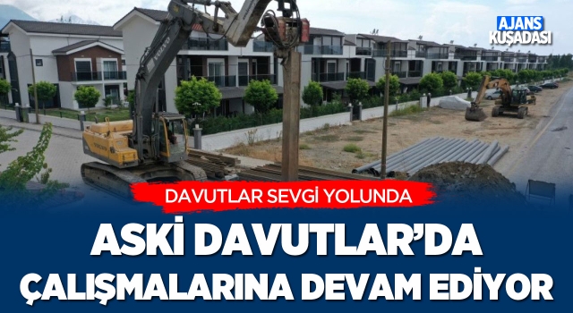 Aski Davutlar'da Çalışmalarına Devam Ediyor