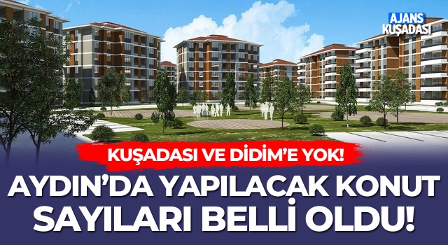 Aydın'da Yapılacak Konut Sayıları Belli Oldu