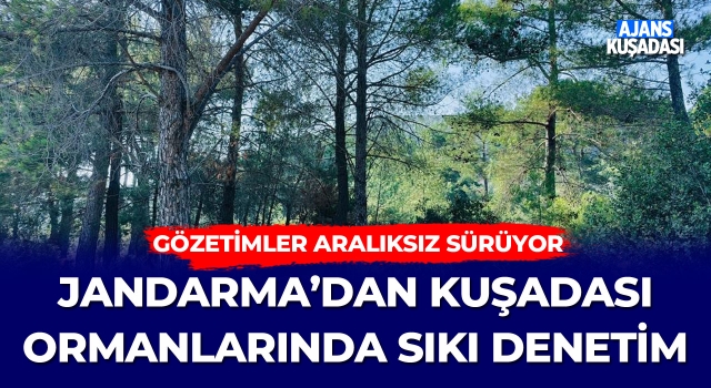 Jandarma'dan Kuşadası Ormanlarında Sıkı Denetim