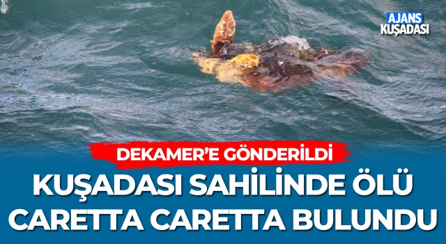 Kuşadası Sahilinde Bulundu!