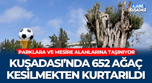 Kuşadası'nda 652 Ağaç Kesilmekten Kurtarıldı