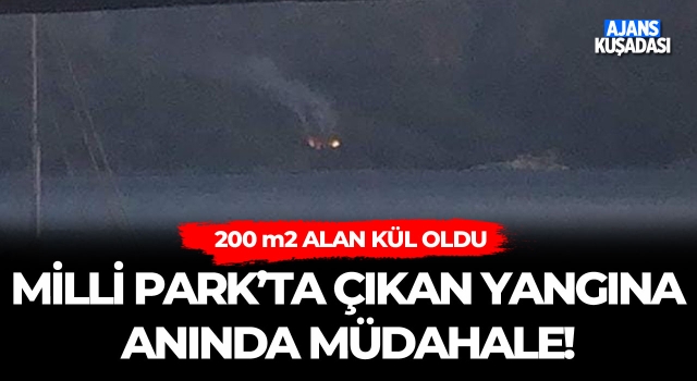 Milli Park'ta Çıkan Yangına Anında Müdahale!