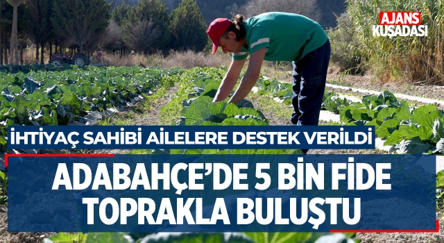 Adabahçe'de 5 Bin Fide Toprakla Buluştu