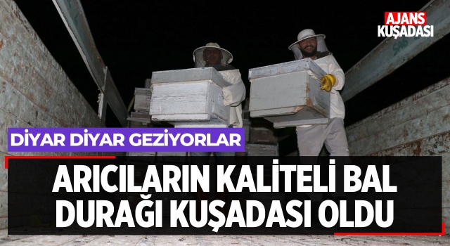 Arıcıların Kaliteli Bal Durağı Kuşadası Oldu