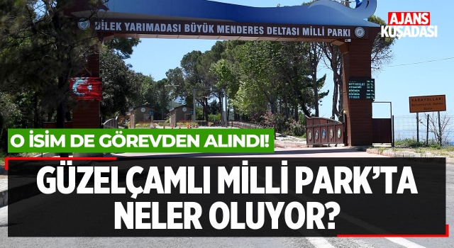 Milli Park'ta Neler Oluyor?