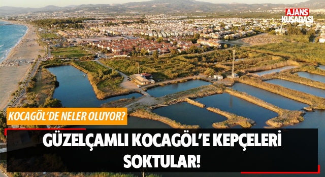 Güzelçamlı Kocagöl'e Kepçeleri Soktular!