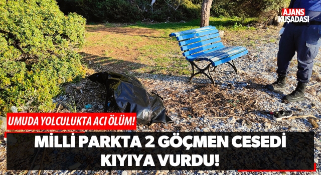 Milli Parkta 2 Göçmen Cesedi Kıyıya Vurdu!