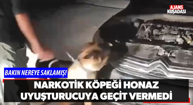 Narkotik Köpeği 'Honaz' Uyuşturucuya Geçit Vermedi!