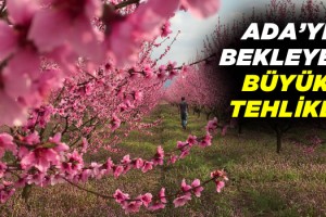 Binlerce Dönüm Tarım Arazisi Betonlaşma Tehdidi Altında!