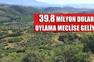 Rant Bölgesinde İkinci Perde: 39.8 Milyon Dolarlık Oylama!