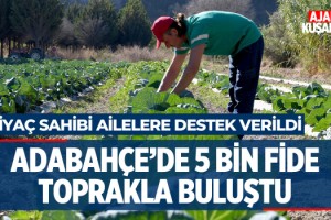 Adabahçe'de 5 Bin Fide Toprakla Buluştu