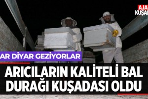 Arıcıların Kaliteli Bal Durağı Kuşadası Oldu