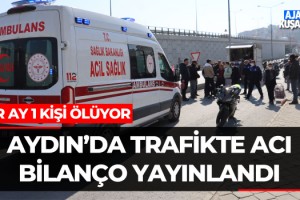 Aydın'da Trafikte Acı Bilanço