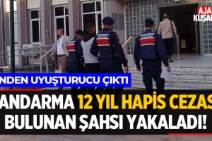 Jandarma 12 Yıl Hapis Cezası Olan Şahsı Yakaladı!