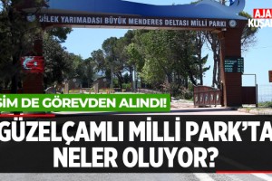 Milli Park'ta Neler Oluyor?