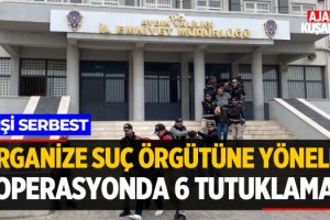 Organize Suç Örgütüne Yönelik Operasyonda 6 Tutuklama