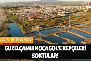 Güzelçamlı Kocagöl'e Kepçeleri Soktular!