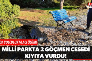 Milli Parkta 2 Göçmen Cesedi Kıyıya Vurdu!