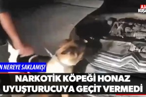 Narkotik Köpeği 'Honaz' Uyuşturucuya Geçit Vermedi!