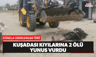 Kuşadası kıyılarına 2 ölü yunus vurdu