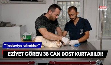 Eziyet gören 38 can dost kurtarıldı!