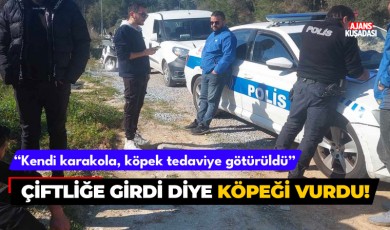 Çiftliğe girdi diye köpeği tüfekle vurdu!