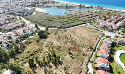 Kuşadası Belediyesi çevrecilerin yüzünü güldürdü